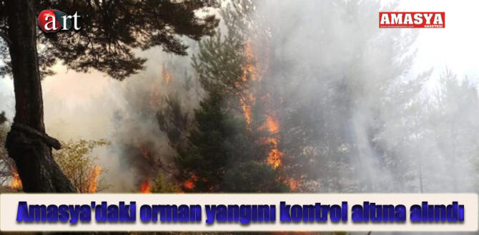 Amasya’daki orman yangını kontrol altına alındı